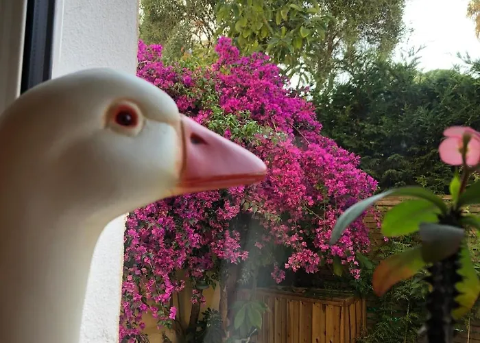 Sentez-vous Comme A La Maison Pres Du Palais Cannes