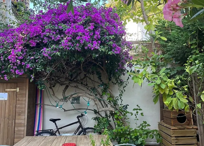 Sentez-vous Comme A La Maison Pres Du Palais *