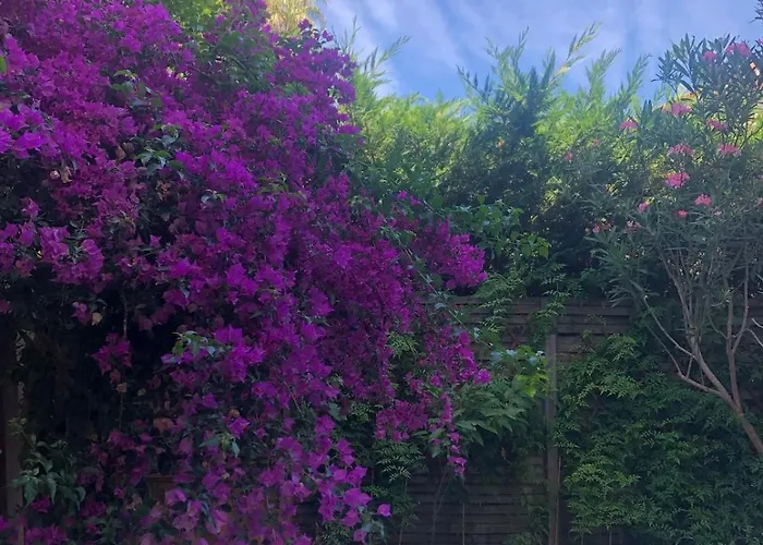 Apartment Sentez-vous Comme A La Maison Pres Du Palais