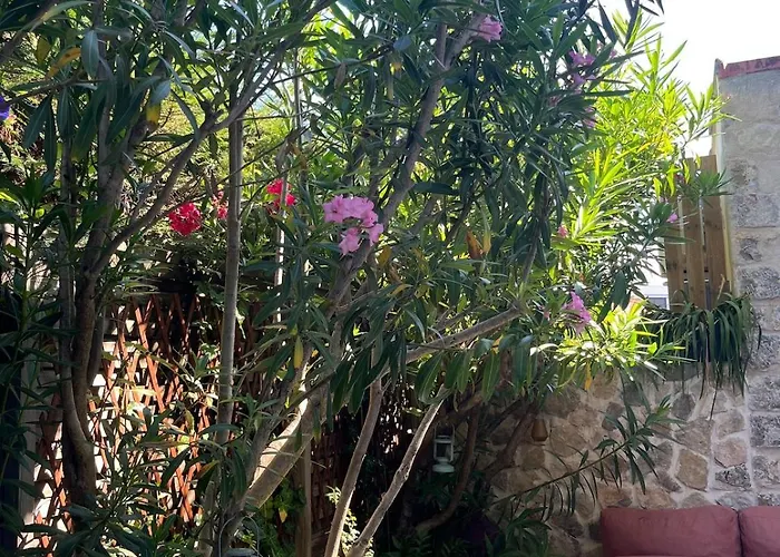 Sentez-vous Comme A La Maison Pres Du Palais Apartment